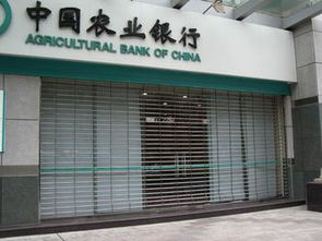 合肥水晶卷闸门与卷帘门维修安装服务——专业可靠的门业解决方案